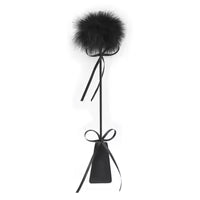 Elegant Sensual Feather